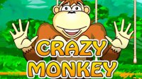 Описание слота Crazy Monkey (Обезьянки)