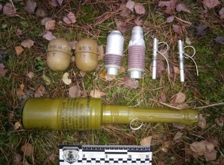 На Волыни в лесу нашли спрятанное оружие и боеприпасы
